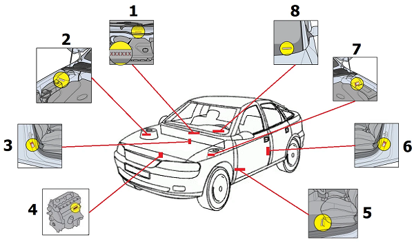 Схематичное изображение автомобиля. Стрелками указаны места, где находится вин-код.